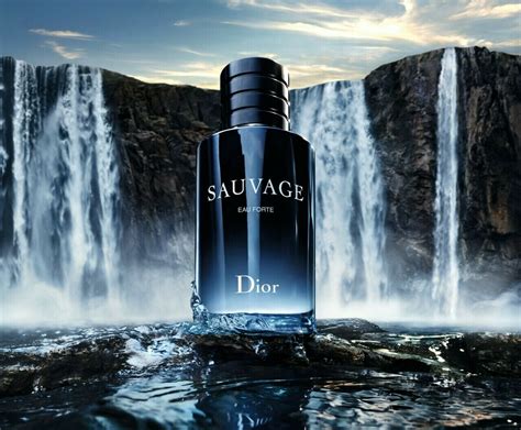 dior parfum zonder alcohol|sauvage eau forte Dior.